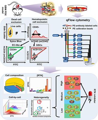 Characterizing Glioblastoma Heterogeneity via Single-Cell Receptor Quantification